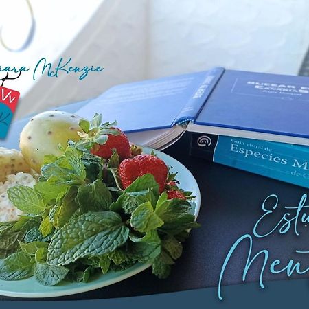 Estudio Menta Tacoronte Dış mekan fotoğraf